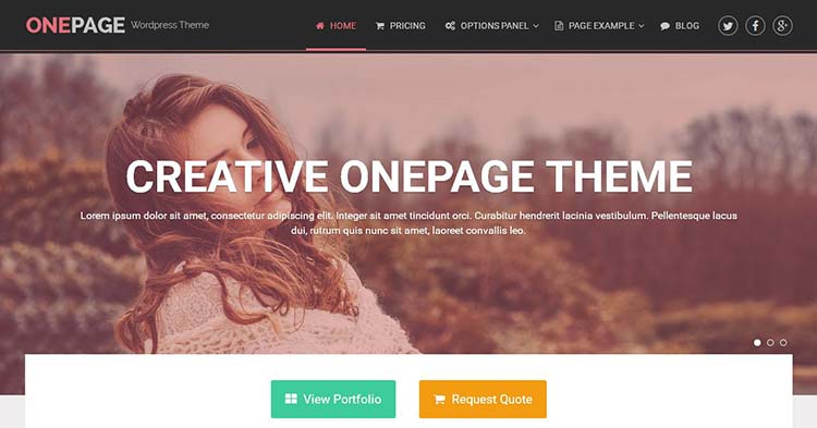 Download OnePage Portfolio WordPress Theme