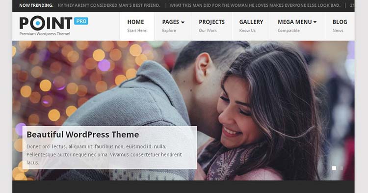 Download PointPro SEO Optimized WP Theme