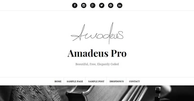 Download Amadeus Pro Blogging WP Theme