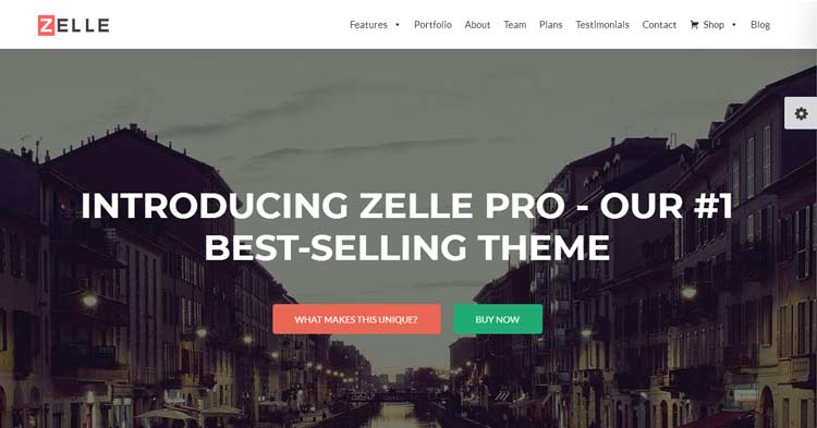 Zelle Pro Business WordPress Theme