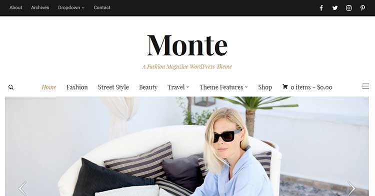 Download Monte Magazine Blog WordPress Theme