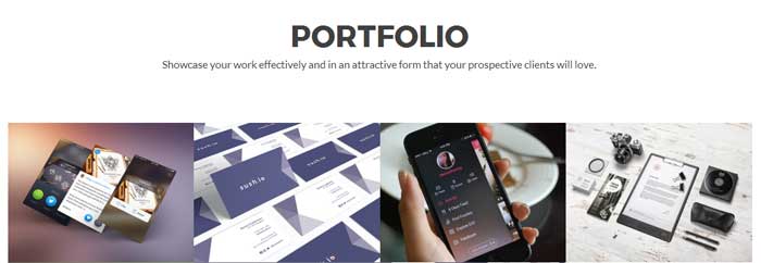 Zelle Pro - Portfolio Section