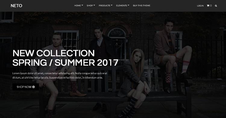 Neto WooCommerce WordPress Theme