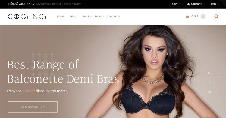 Download Cogence Lingerie WooCommerce Theme