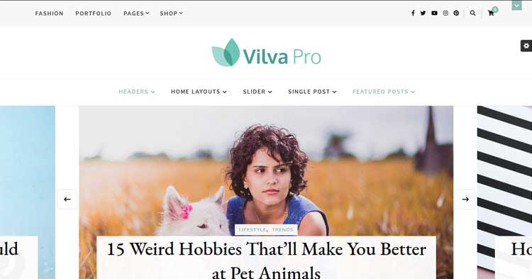 Vilva Pro Bloggers WordPress Theme