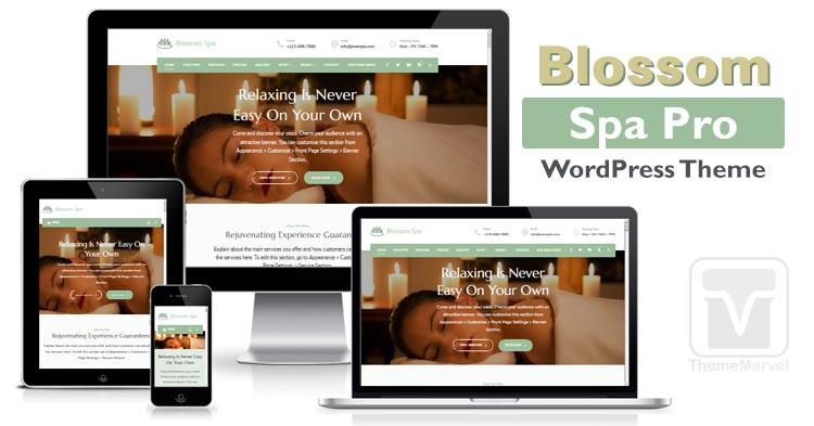 Download BlossomThemes - Blossom Spa Pro WordPress Theme