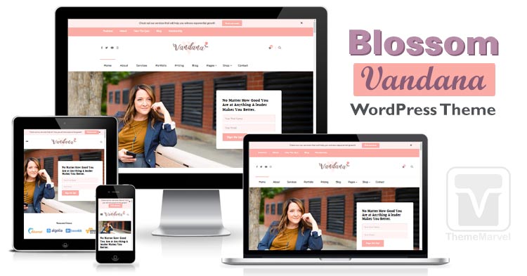 Download BlossomThemes - Blossom Vandana WordPress Theme for Coaches, Speakers, Mentors & Entrepreneurs
