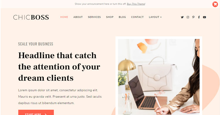 Download ChicBoss Businesswomen WordPress Theme