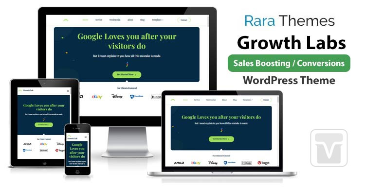 Download RaraThemes - Growth Labs WP Theme for your online business / service agency website