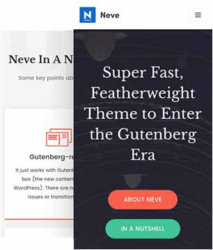 Neve Pro - responsive mobile ready theme