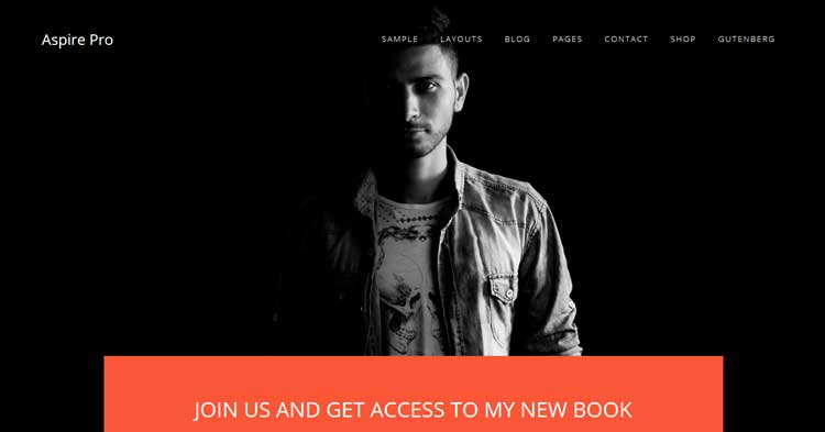 Download Aspire Pro WordPress Theme