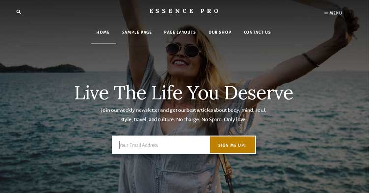 Download Essence Pro Genesis WordPress Theme