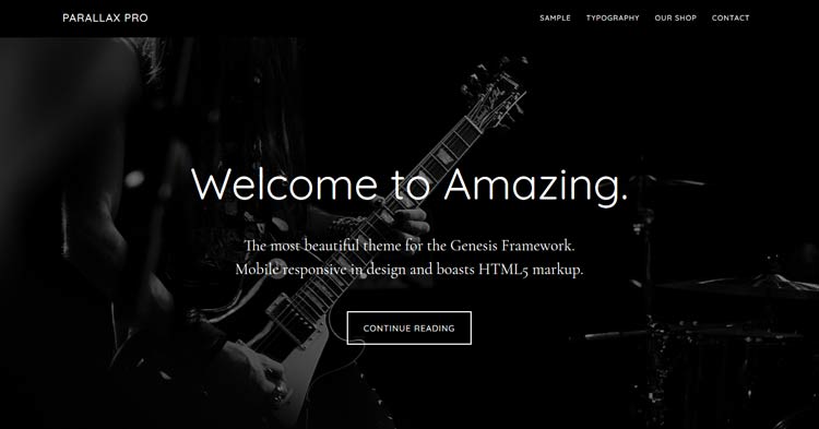 Download Parallax Pro WordPress Theme