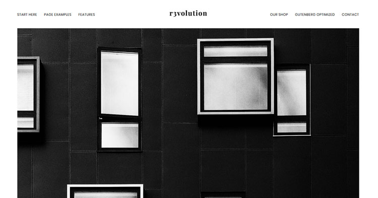 Download Revolution Pro WordPress Theme