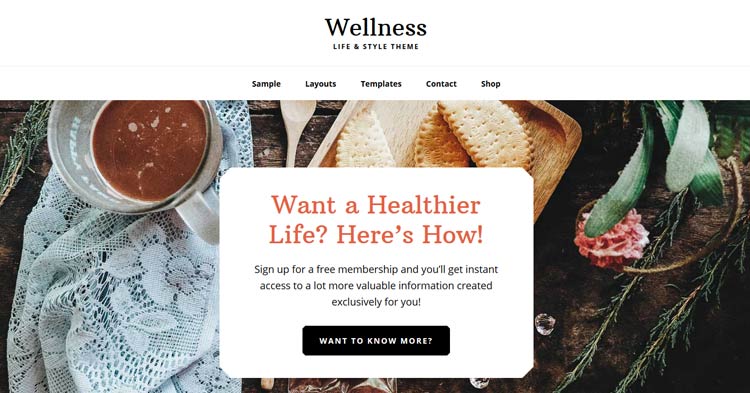 Download Wellness Pro Health WordPress Theme