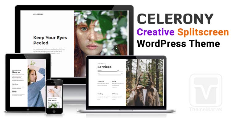 Celerony Creative Splitscreen, Feminine Blogging WordPress Theme