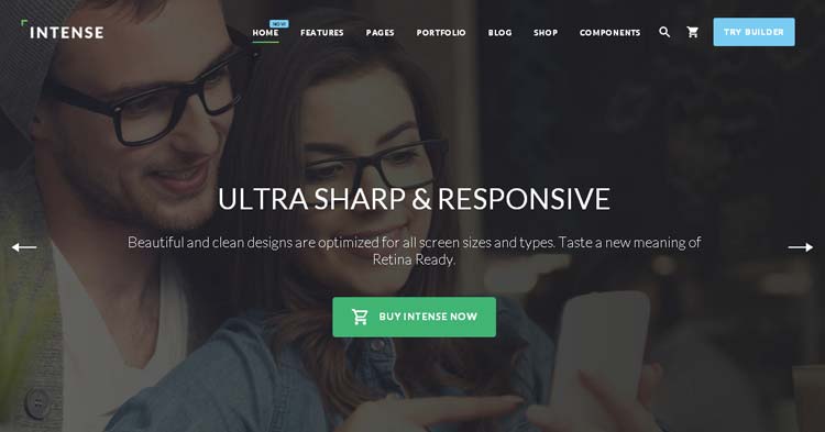 Download Intense Multipurpose Website Template