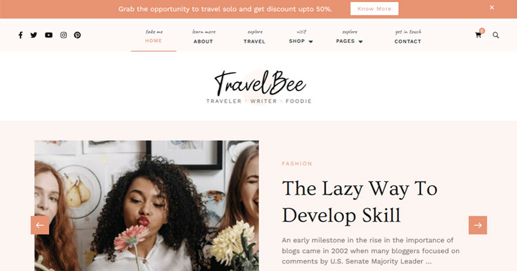 Download Travelbee Pro Travel Lifestyle Blog Theme