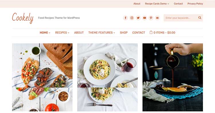 Download Cookely Food Recipe Blog WP Theme